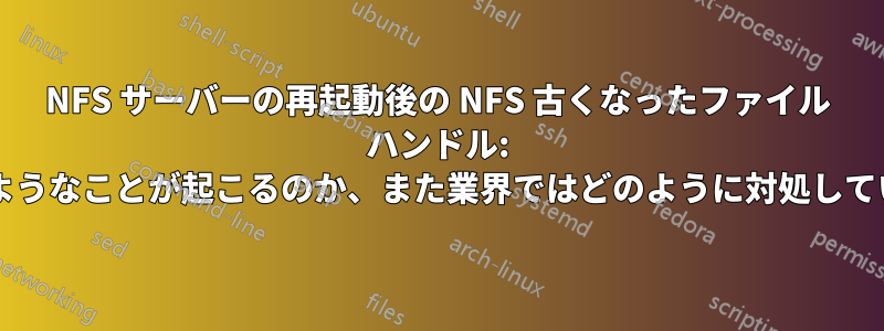 NFS サーバーの再起動後の NFS 古くなったファイル ハンドル: なぜこのようなことが起こるのか、また業界ではどのように対処しているのか?