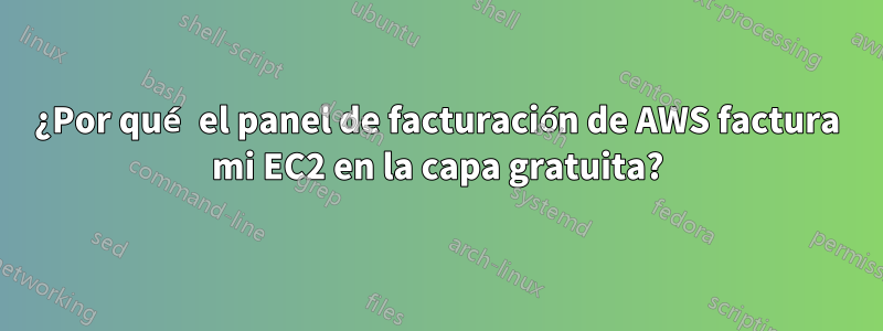 ¿Por qué el panel de facturación de AWS factura mi EC2 en la capa gratuita?