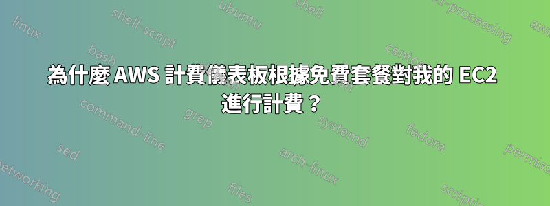 為什麼 AWS 計費儀表板根據免費套餐對我的 EC2 進行計費？