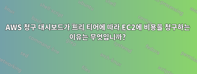 AWS 청구 대시보드가 ​​프리 티어에 따라 EC2에 비용을 청구하는 이유는 무엇입니까?