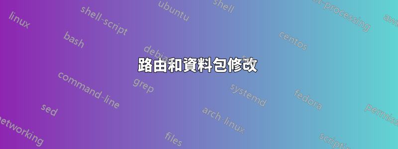 路由和資料包修改