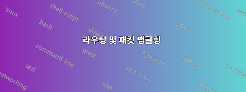 라우팅 및 패킷 맹글링