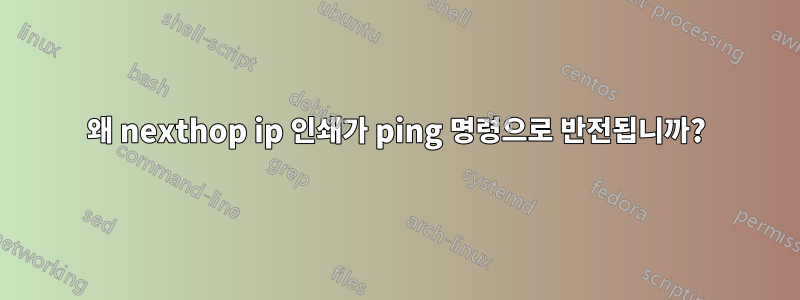 왜 nexthop ip 인쇄가 ping 명령으로 반전됩니까?