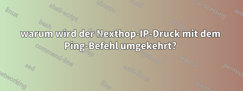 warum wird der Nexthop-IP-Druck mit dem Ping-Befehl umgekehrt?