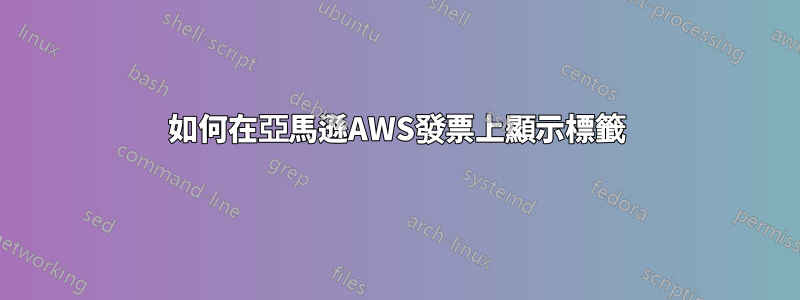 如何在亞馬遜AWS發票上顯示標籤