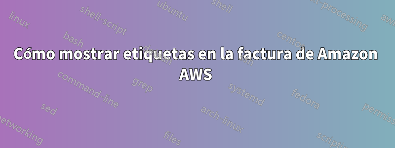 Cómo mostrar etiquetas en la factura de Amazon AWS