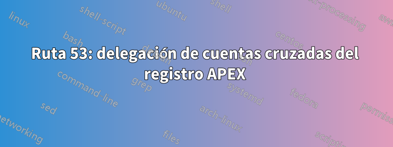 Ruta 53: delegación de cuentas cruzadas del registro APEX