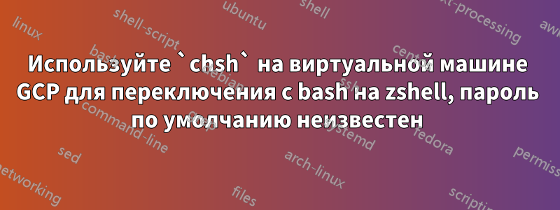 Используйте `chsh` на виртуальной машине GCP для переключения с bash на zshell, пароль по умолчанию неизвестен