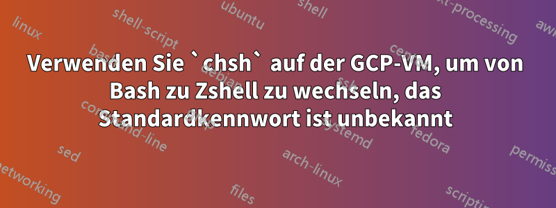 Verwenden Sie `chsh` auf der GCP-VM, um von Bash zu Zshell zu wechseln, das Standardkennwort ist unbekannt