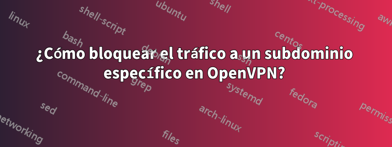 ¿Cómo bloquear el tráfico a un subdominio específico en OpenVPN?