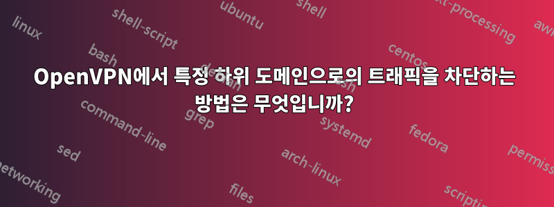 OpenVPN에서 특정 하위 도메인으로의 트래픽을 차단하는 방법은 무엇입니까?