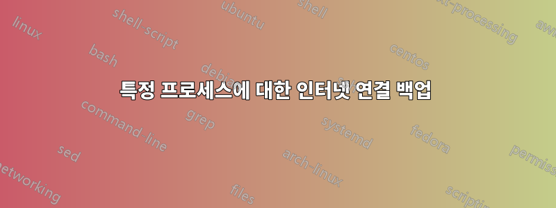 특정 프로세스에 대한 인터넷 연결 백업