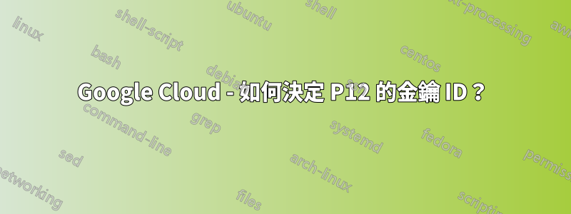 Google Cloud - 如何決定 P12 的金鑰 ID？