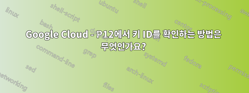 Google Cloud - P12에서 키 ID를 확인하는 방법은 무엇인가요?