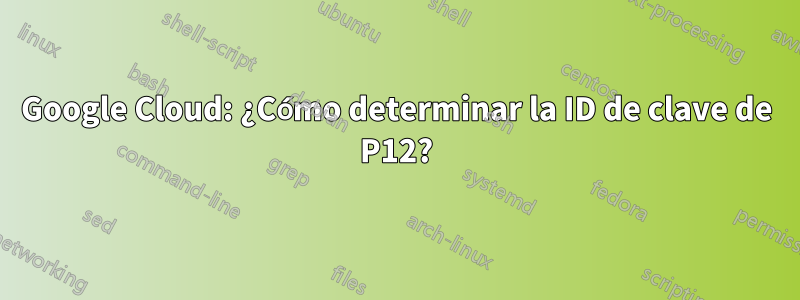 Google Cloud: ¿Cómo determinar la ID de clave de P12?