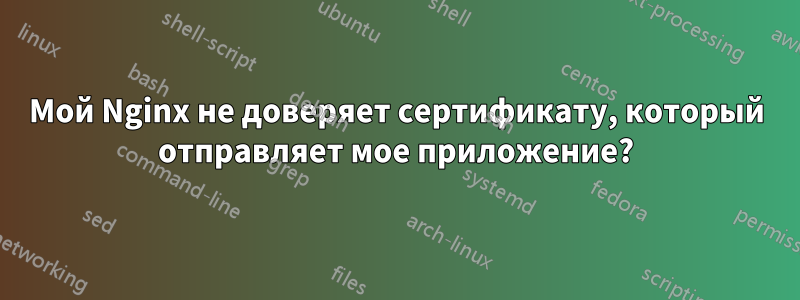 Мой Nginx не доверяет сертификату, который отправляет мое приложение?