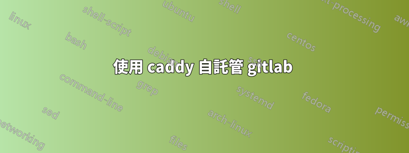 使用 caddy 自託管 gitlab