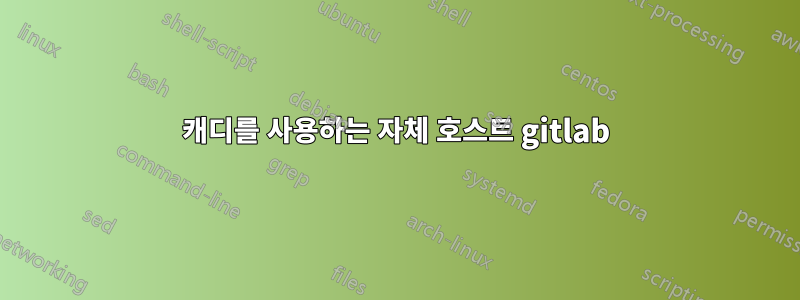 캐디를 사용하는 자체 호스트 gitlab