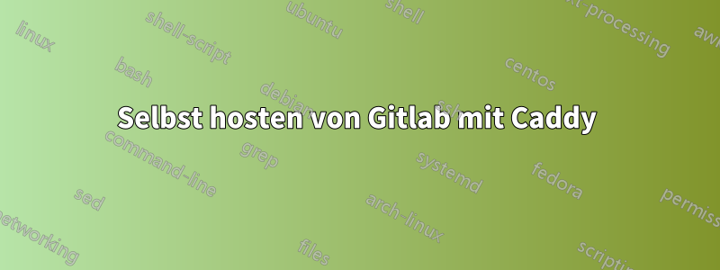 Selbst hosten von Gitlab mit Caddy