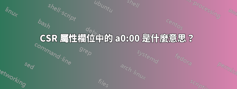 CSR 屬性欄位中的 a0:00 是什麼意思？