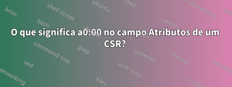 O que significa a0:00 no campo Atributos de um CSR?