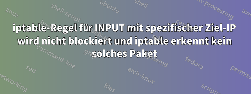 iptable-Regel für INPUT mit spezifischer Ziel-IP wird nicht blockiert und iptable erkennt kein solches Paket