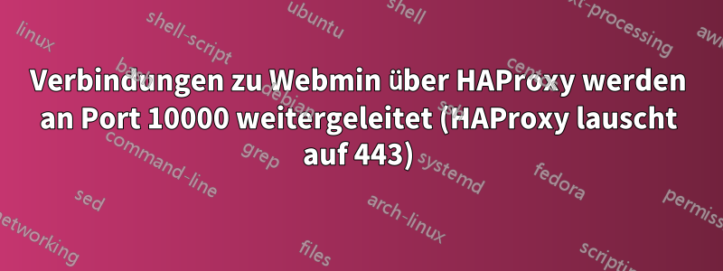 Verbindungen zu Webmin über HAProxy werden an Port 10000 weitergeleitet (HAProxy lauscht auf 443)