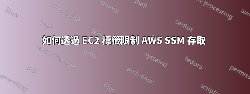 如何透過 EC2 標籤限制 AWS SSM 存取