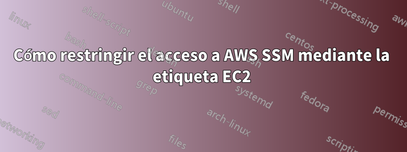 Cómo restringir el acceso a AWS SSM mediante la etiqueta EC2