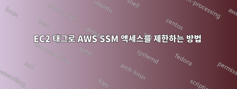 EC2 태그로 AWS SSM 액세스를 제한하는 방법