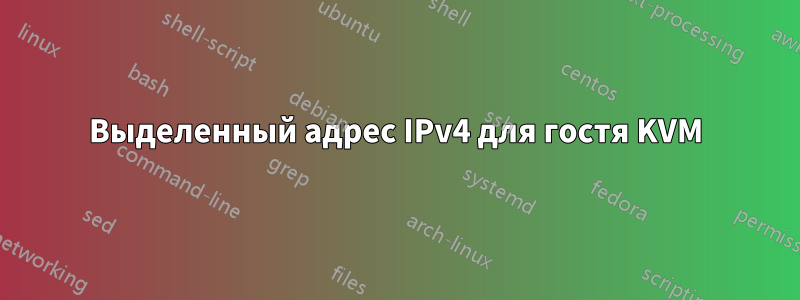 Выделенный адрес IPv4 для гостя KVM