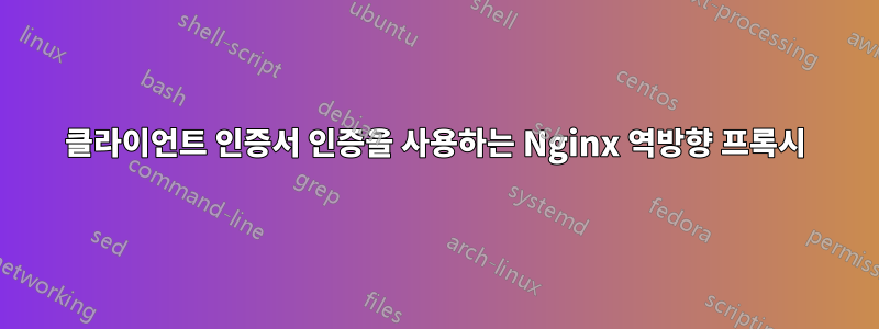 클라이언트 인증서 인증을 사용하는 Nginx 역방향 프록시