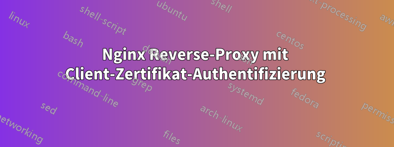 Nginx Reverse-Proxy mit Client-Zertifikat-Authentifizierung