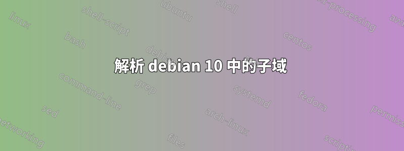 解析 debian 10 中的子域