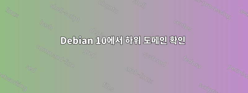 Debian 10에서 하위 도메인 확인