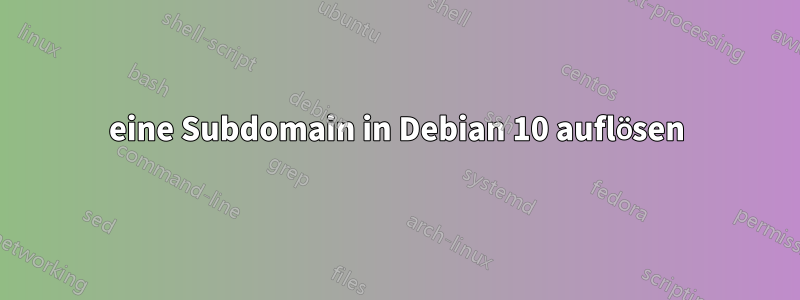 eine Subdomain in Debian 10 auflösen