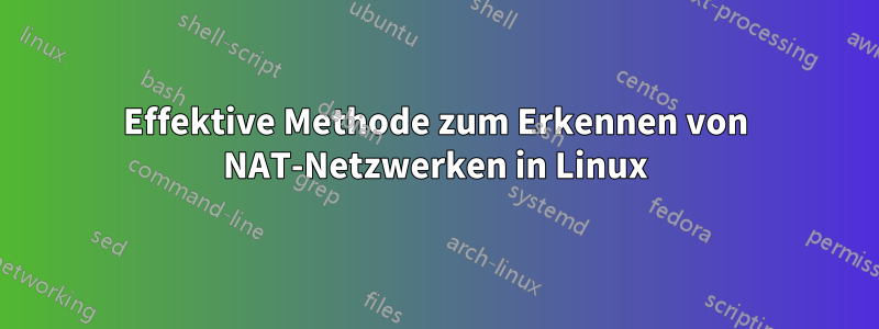 Effektive Methode zum Erkennen von NAT-Netzwerken in Linux