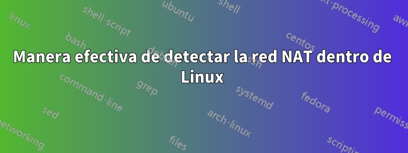 Manera efectiva de detectar la red NAT dentro de Linux