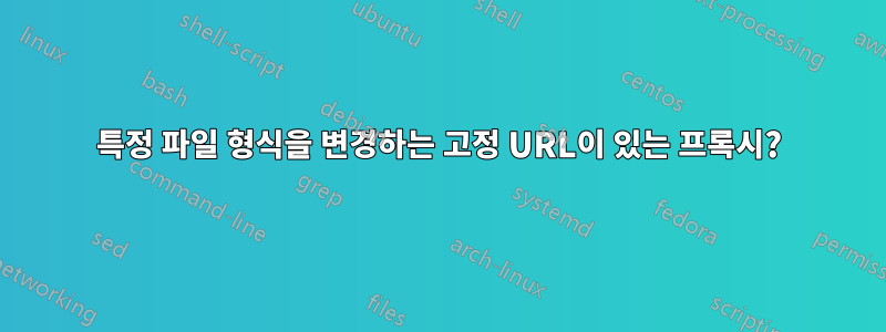 특정 파일 형식을 변경하는 고정 URL이 있는 프록시?