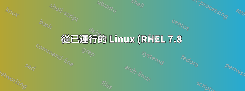 從已運行的 Linux (RHEL 7.8) 實例在第二個磁碟上安裝 Linux