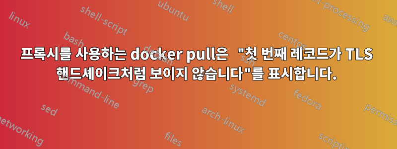 프록시를 사용하는 docker pull은 "첫 번째 레코드가 TLS 핸드셰이크처럼 보이지 않습니다"를 표시합니다.