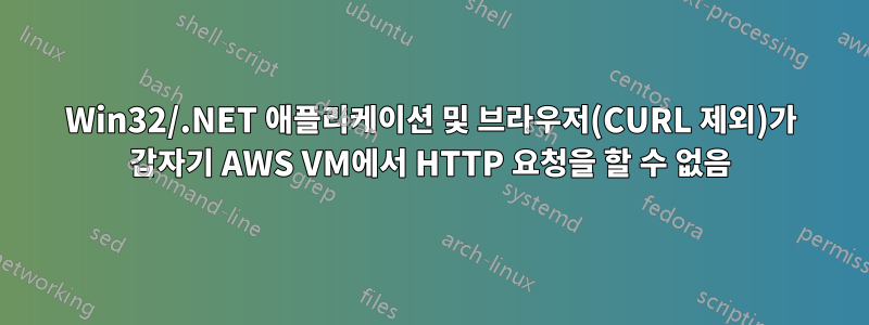 Win32/.NET 애플리케이션 및 브라우저(CURL 제외)가 갑자기 AWS VM에서 HTTP 요청을 할 수 없음