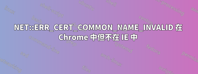 NET::ERR_CERT_COMMON_NAME_INVALID 在 Chrome 中但不在 IE 中