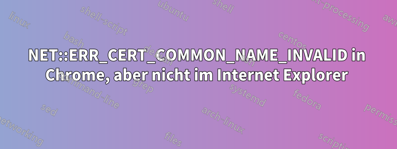 NET::ERR_CERT_COMMON_NAME_INVALID in Chrome, aber nicht im Internet Explorer