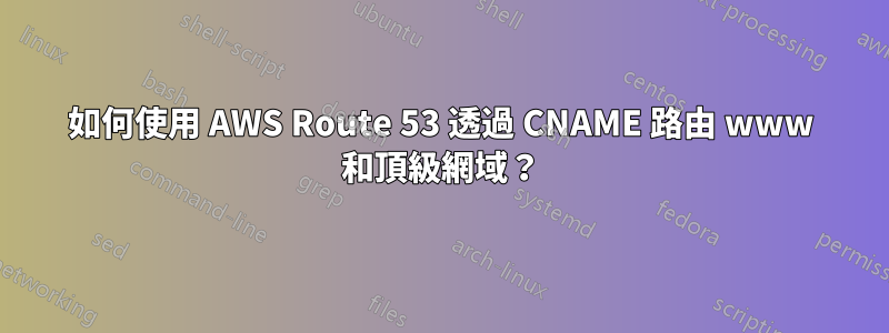 如何使用 AWS Route 53 透過 CNAME 路由 www 和頂級網域？