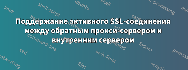 Поддержание активного SSL-соединения между обратным прокси-сервером и внутренним сервером