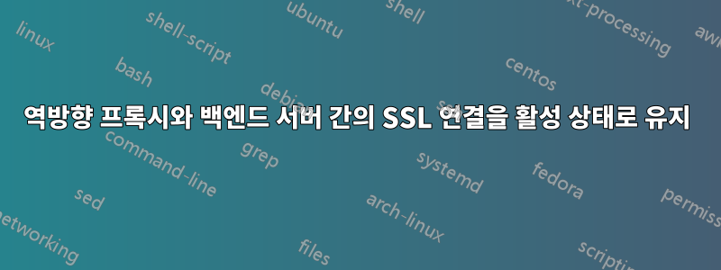 역방향 프록시와 백엔드 서버 간의 SSL 연결을 활성 상태로 유지