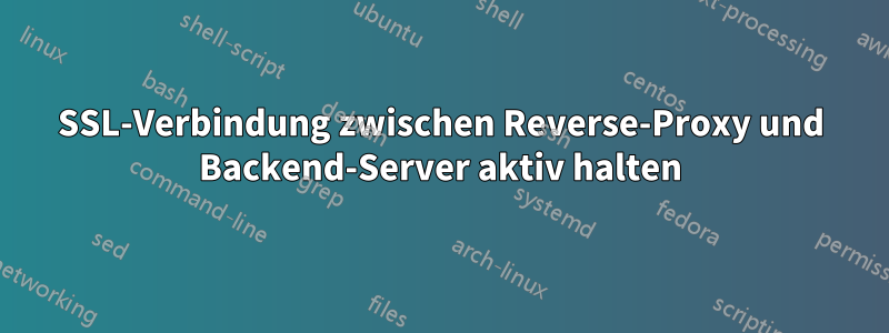 SSL-Verbindung zwischen Reverse-Proxy und Backend-Server aktiv halten