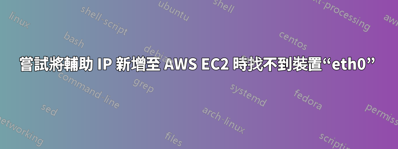 嘗試將輔助 IP 新增至 AWS EC2 時找不到裝置“eth0”