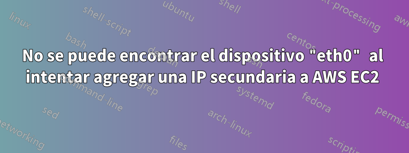 No se puede encontrar el dispositivo "eth0" al intentar agregar una IP secundaria a AWS EC2